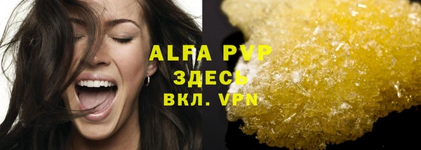 сатива Елабуга