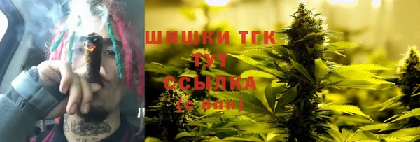 молекула духа Елизово