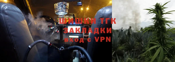 молекула духа Елизово