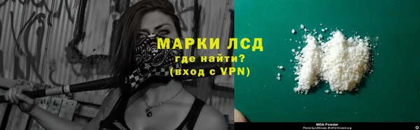 сатива Елабуга