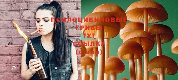 прущая мука Ельня