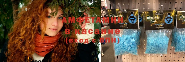 сатива Елабуга
