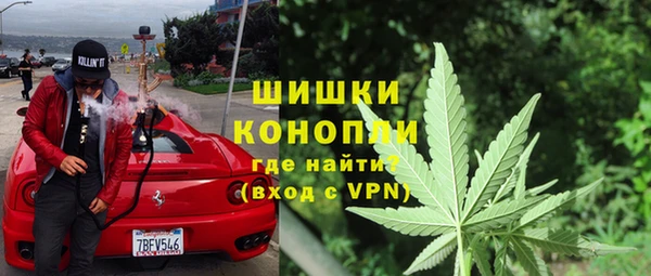 молекула духа Елизово
