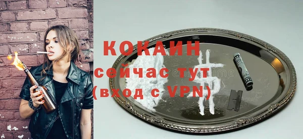 прущая мука Ельня