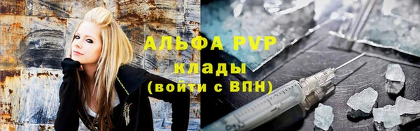 прущая мука Ельня
