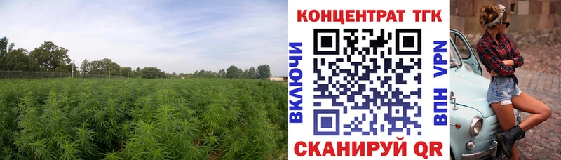 ТГК жижа  Купить  Курганинск 