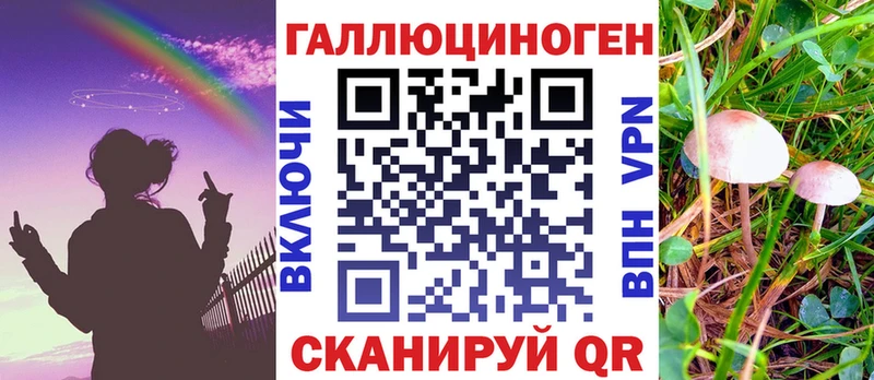 Галлюциногенные грибы GOLDEN TEACHER  Купить  Курганинск 